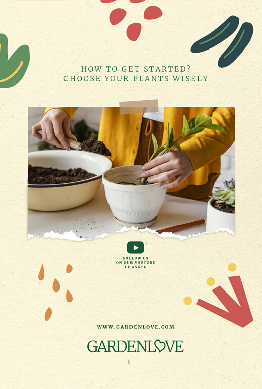 Book Demo 04 - الصورة 4